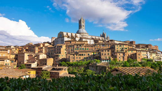 Day Tour from Florence to Siena, San Gimignano, Monteriggioni and Chianti wine region with wine tasting